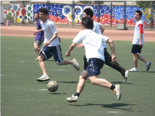 的高度评价 的高度评价